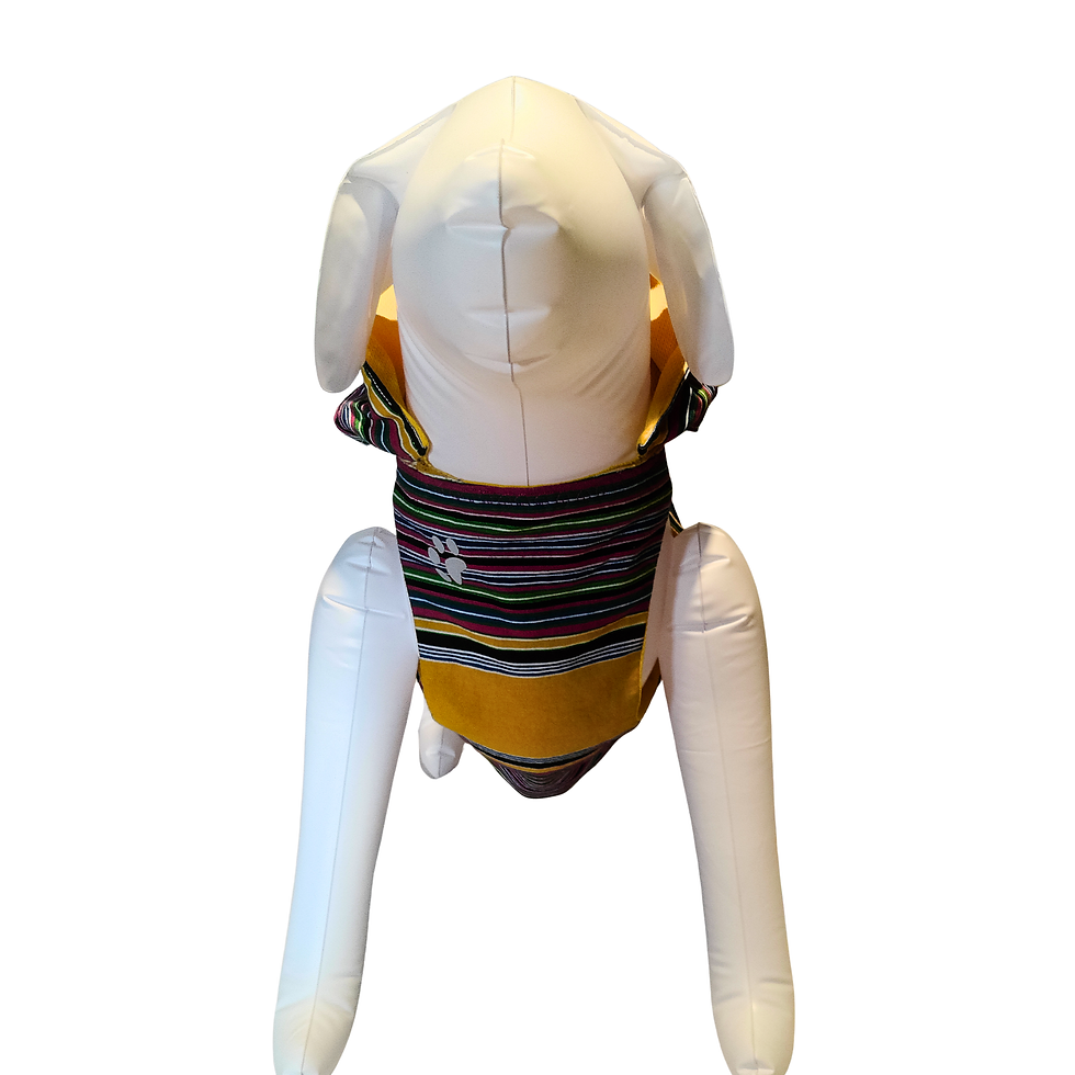 Thumbnail: Venda inspired Harness and Lead Set (XXS to XL)