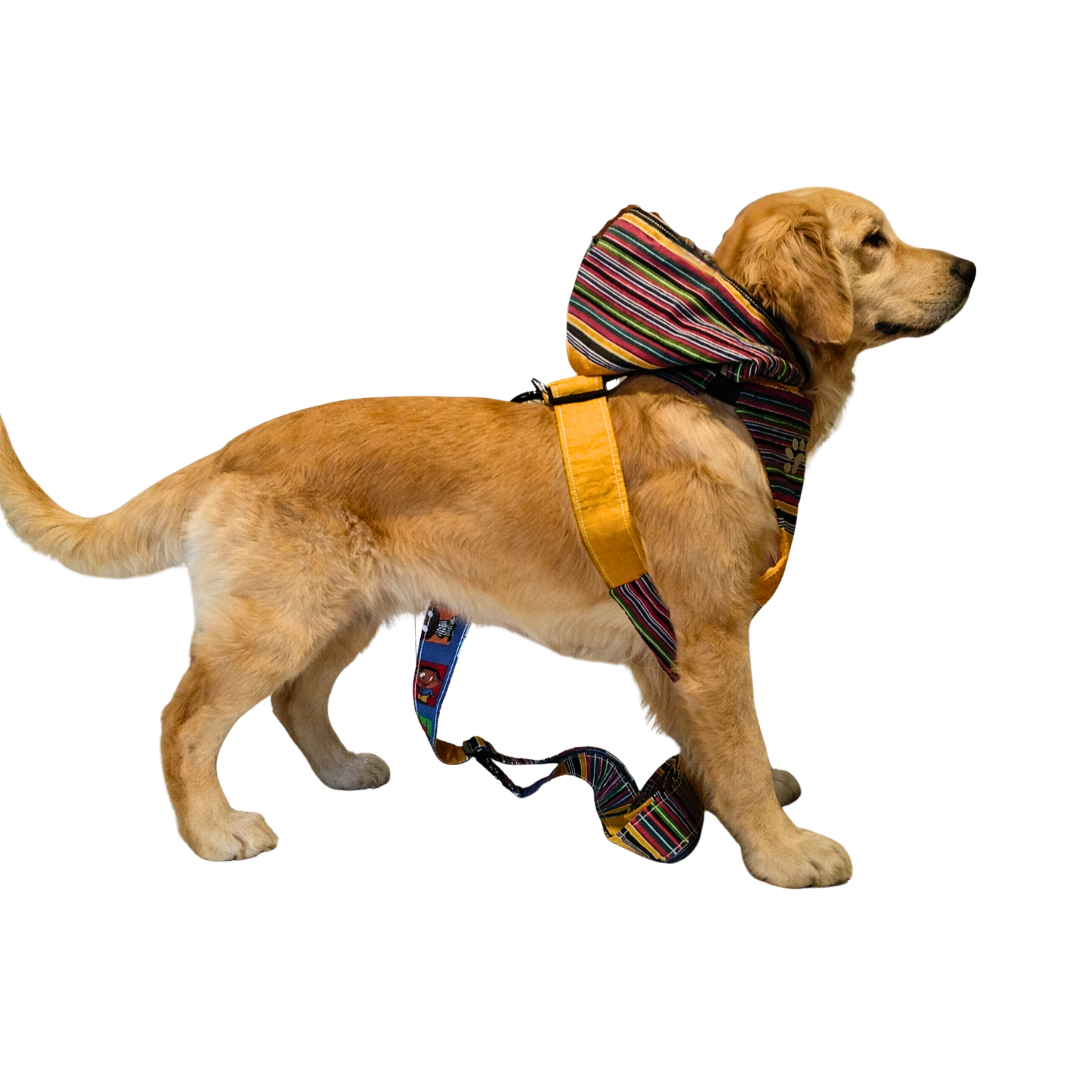 Venda inspired Harness and Lead Set (XXS to XL)
