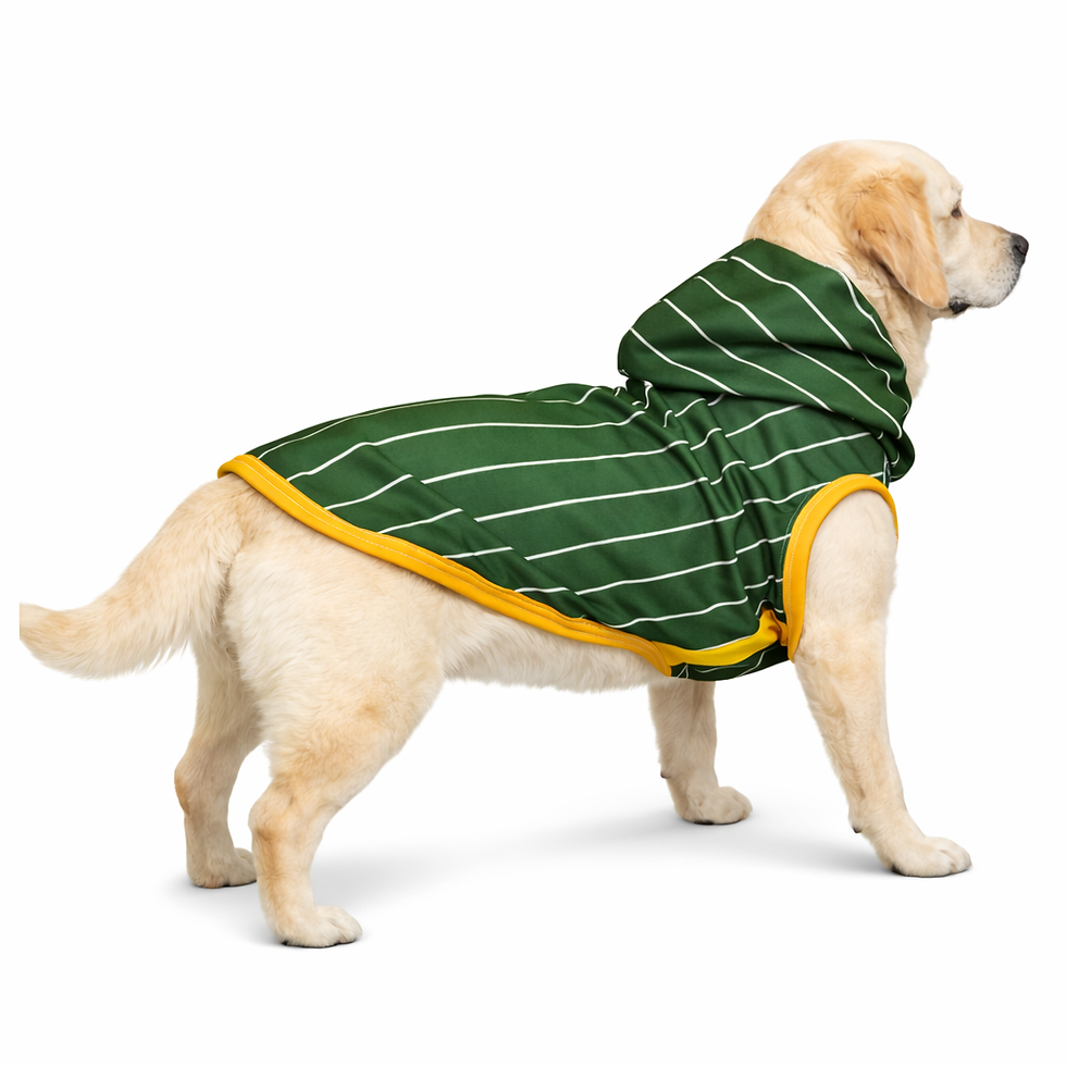 Thumbnail: South African Sports Jersey for Dogs – Green & Gold Edition