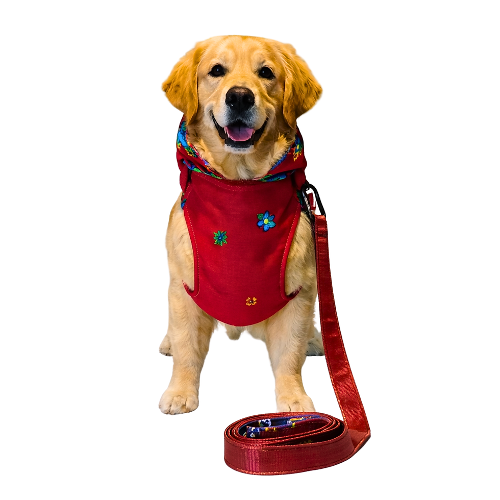 Thumbnail: Tsonga inspired Harness and Lead Set (XXS to XL)