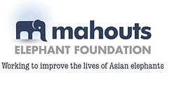 logo_edited.jpg