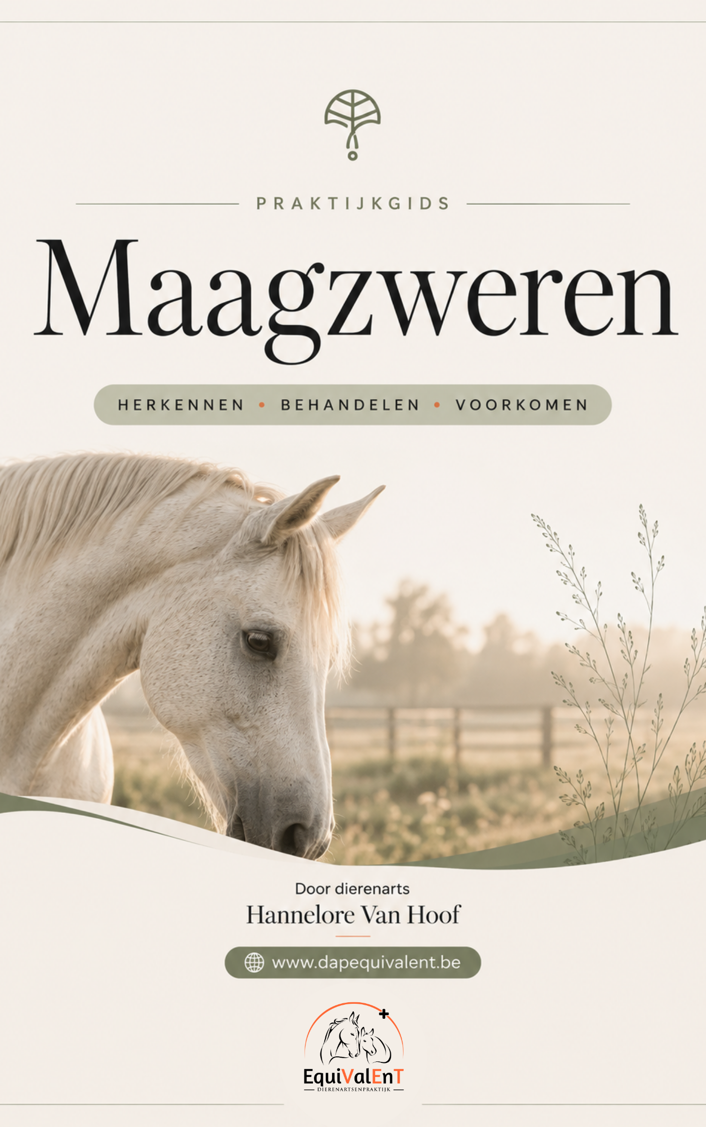 Praktijkgids - Maagzweren bij paarden