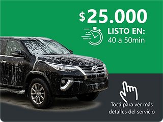 02b - PRO- Precio.png