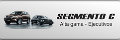 Segmento C.png