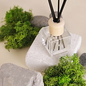 5. Square - Reed.jpg