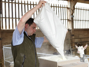 Buying Or Making Your Own Feed