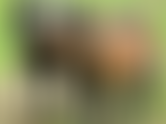 Best Goat For Butterfat Or Quantity