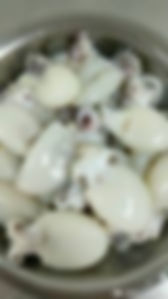 小墨鱼 Petites seiches