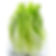 玻璃生菜 Salade iceberg