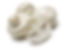 蘑菇 Champignons de paris