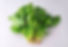 菠菜 Epinards