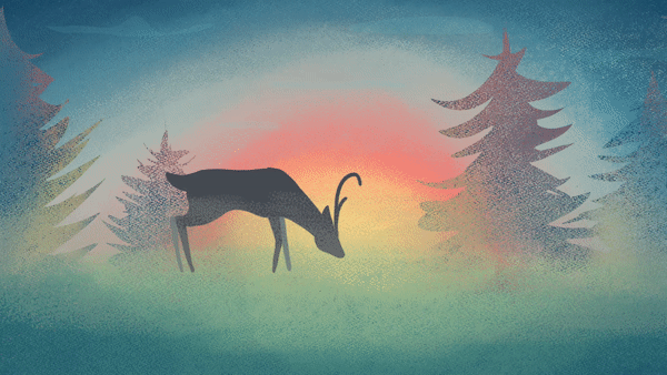 A new beginning