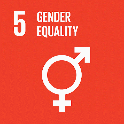 5-gedner-equality.gif