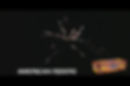 Demo of American Riders 500 Gram fireworks cake — 53 shots of rapid aerial bursts