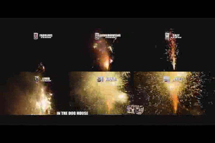 Create memories with In The Doghouse fireworks fountain. Safe and sane at its best.