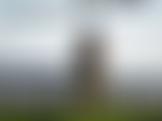 Guilt and Boundaries: Learning to Find Peace