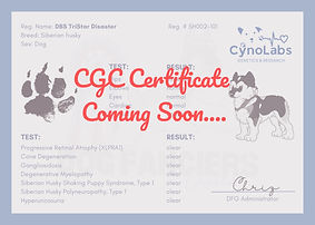 DFG Health Certificate (2)_edited.jpg