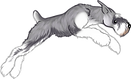 01_edited.png