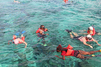 Reef Snorkeling Jamaica