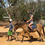 Thumbnail: Horseback Riding Negril resort pickup