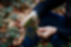 JK_WTMG_221120_16 Moss Main.jpg