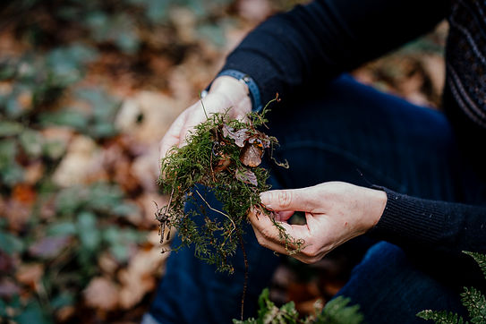 JK_WTMG_221120_16 Moss Main.jpg