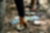 JK_WTMG_BankWoods_010721_78.jpg
