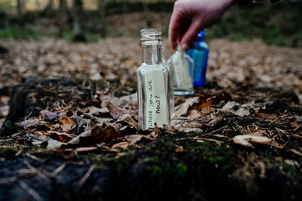 Bottles.jpeg