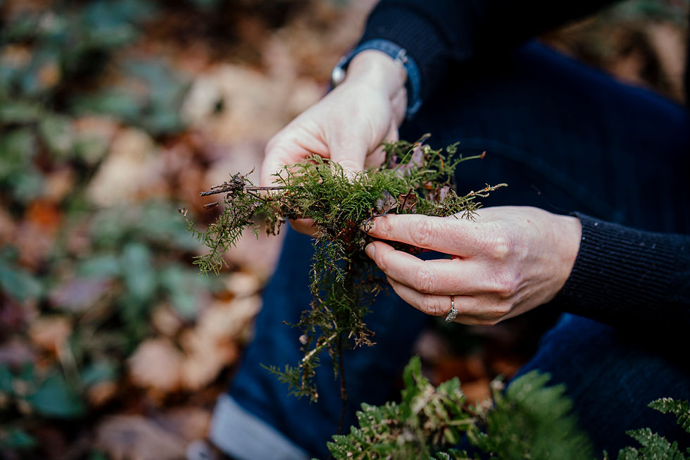 What if we've got Resilience all wrong? How 'resilience' is burning out your team.