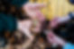 JK_WTMG_221120_84 pieces .jpg