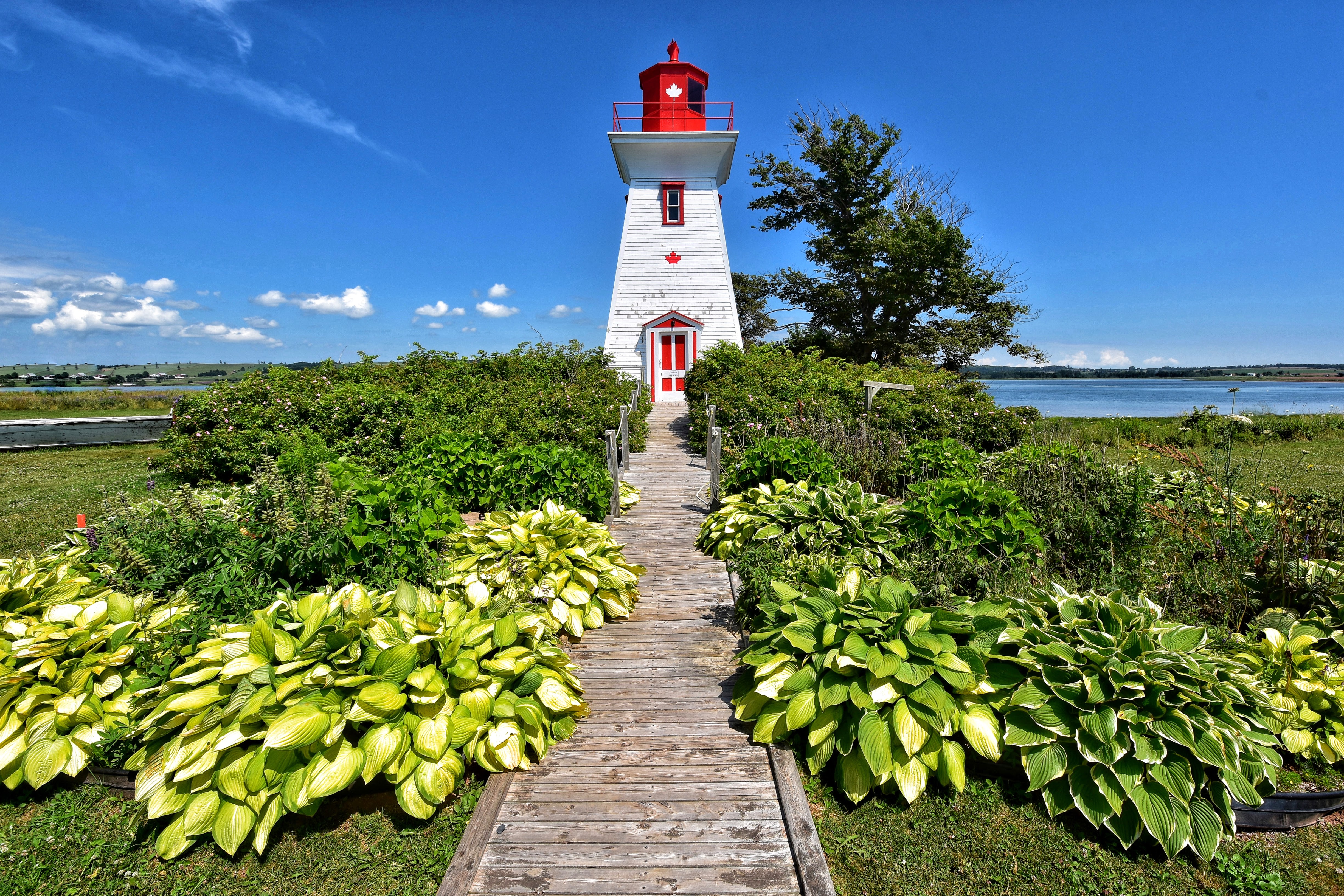 Lighthouse