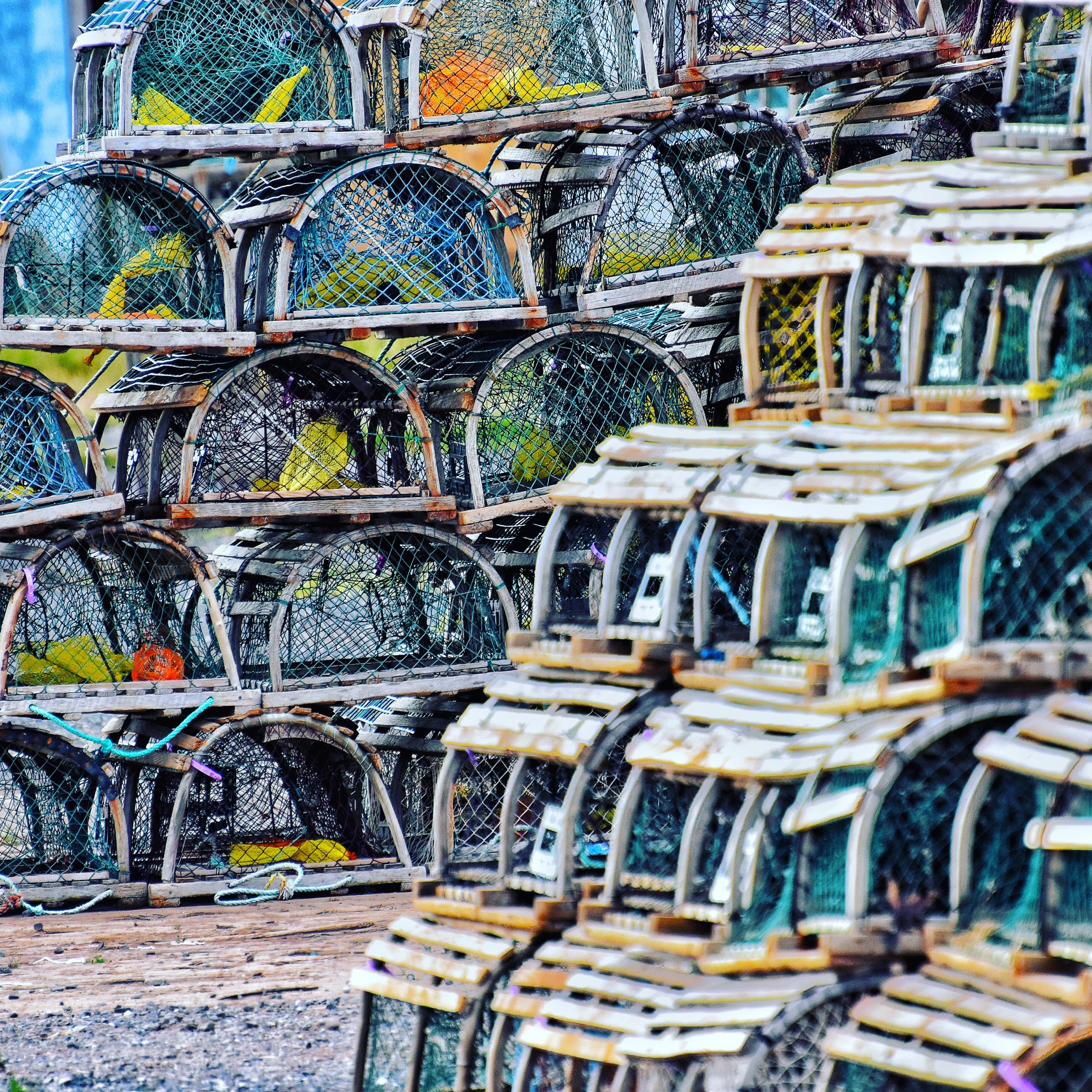Lobster Traps