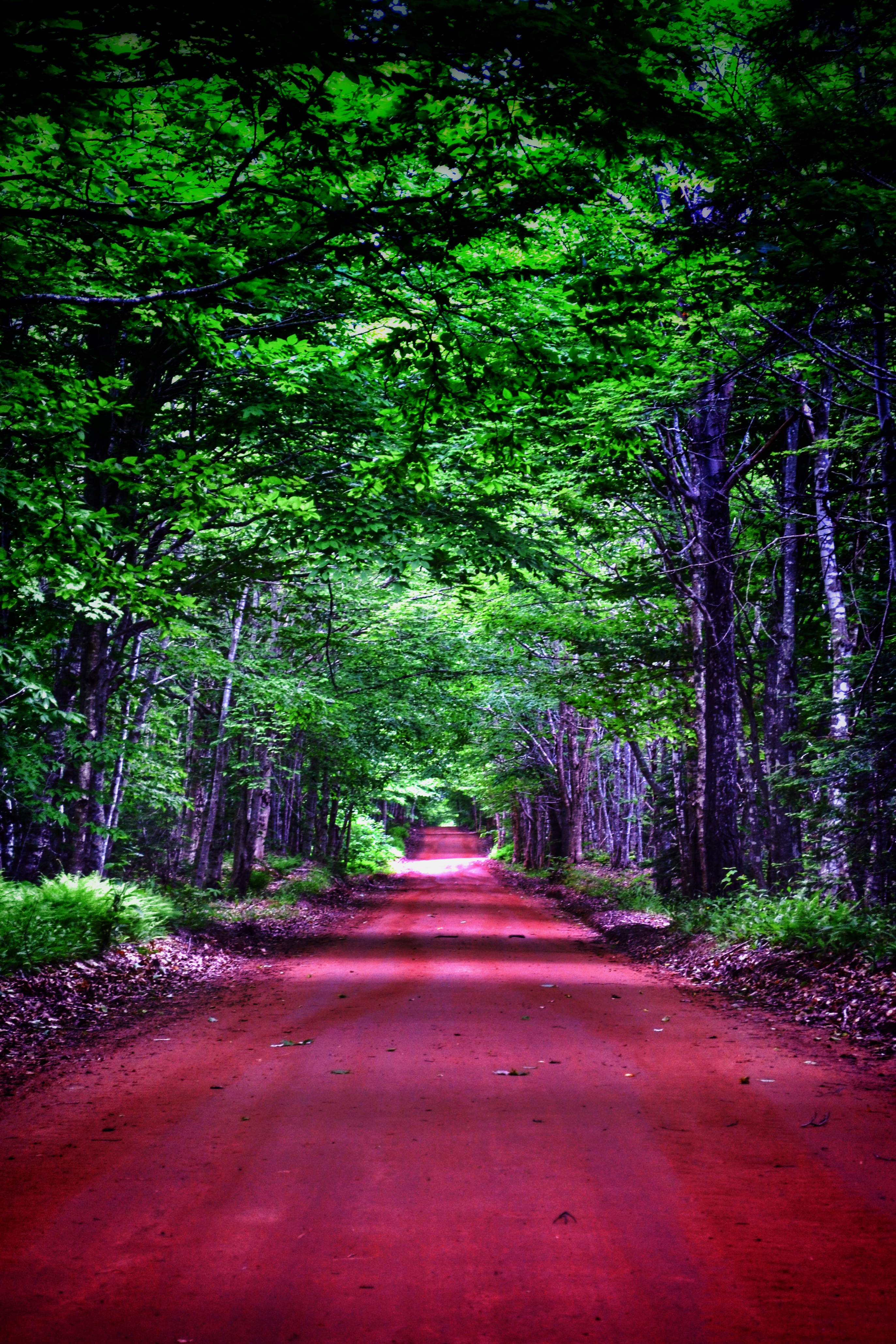 Red soil