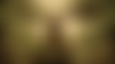 Der irische Elch oder warum Intelligenz gefährlich ist...