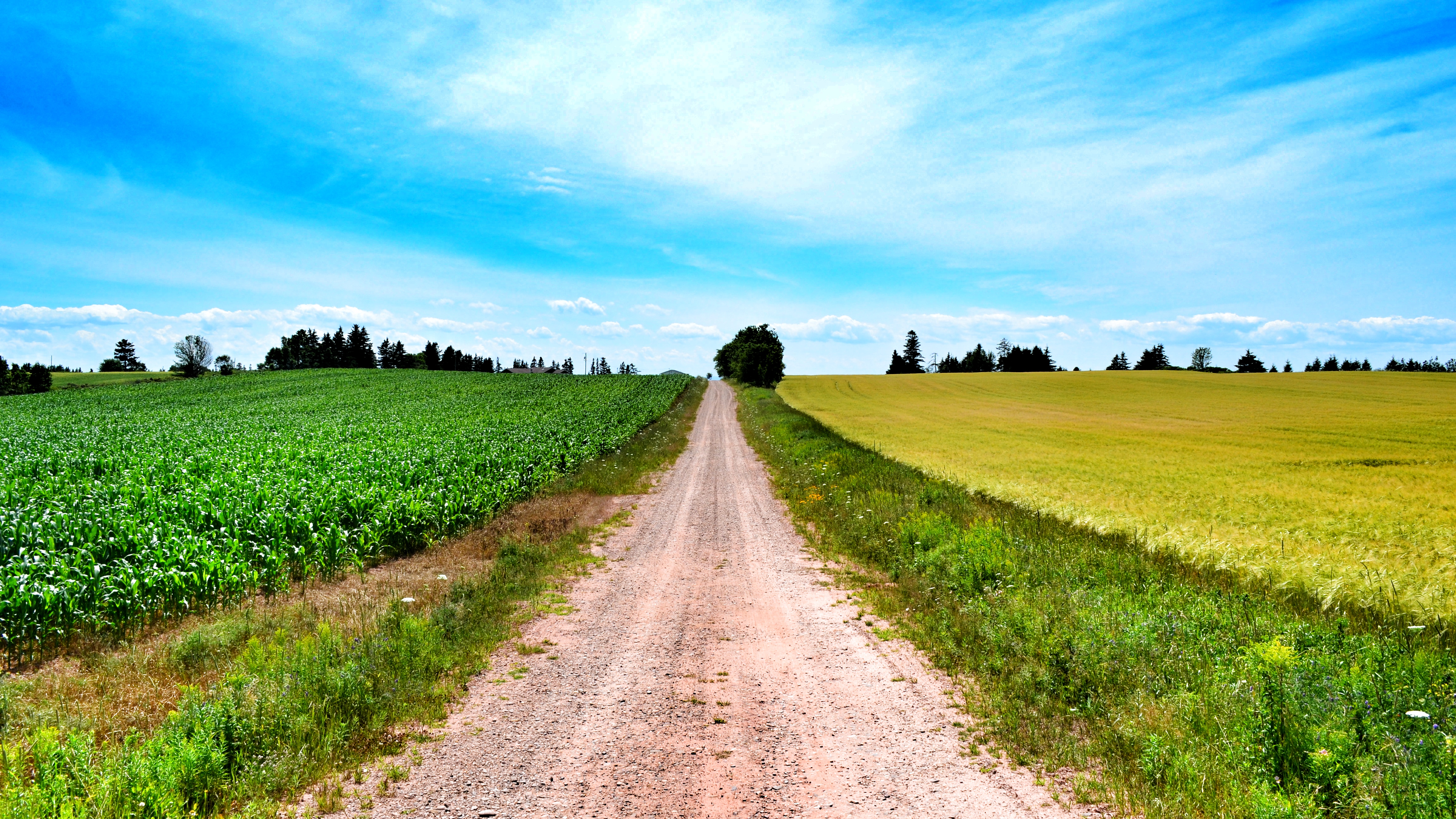 Road