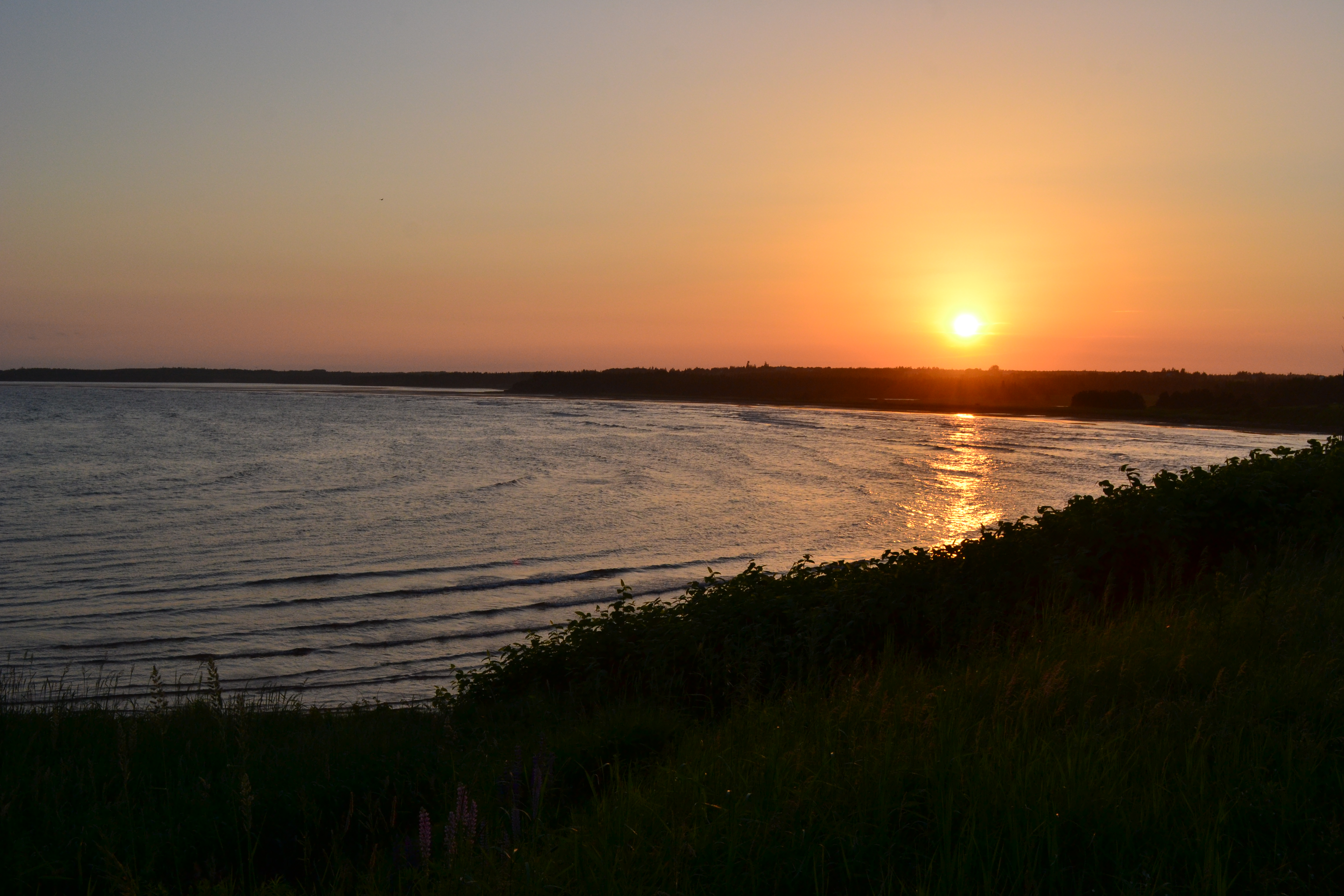 Sunset