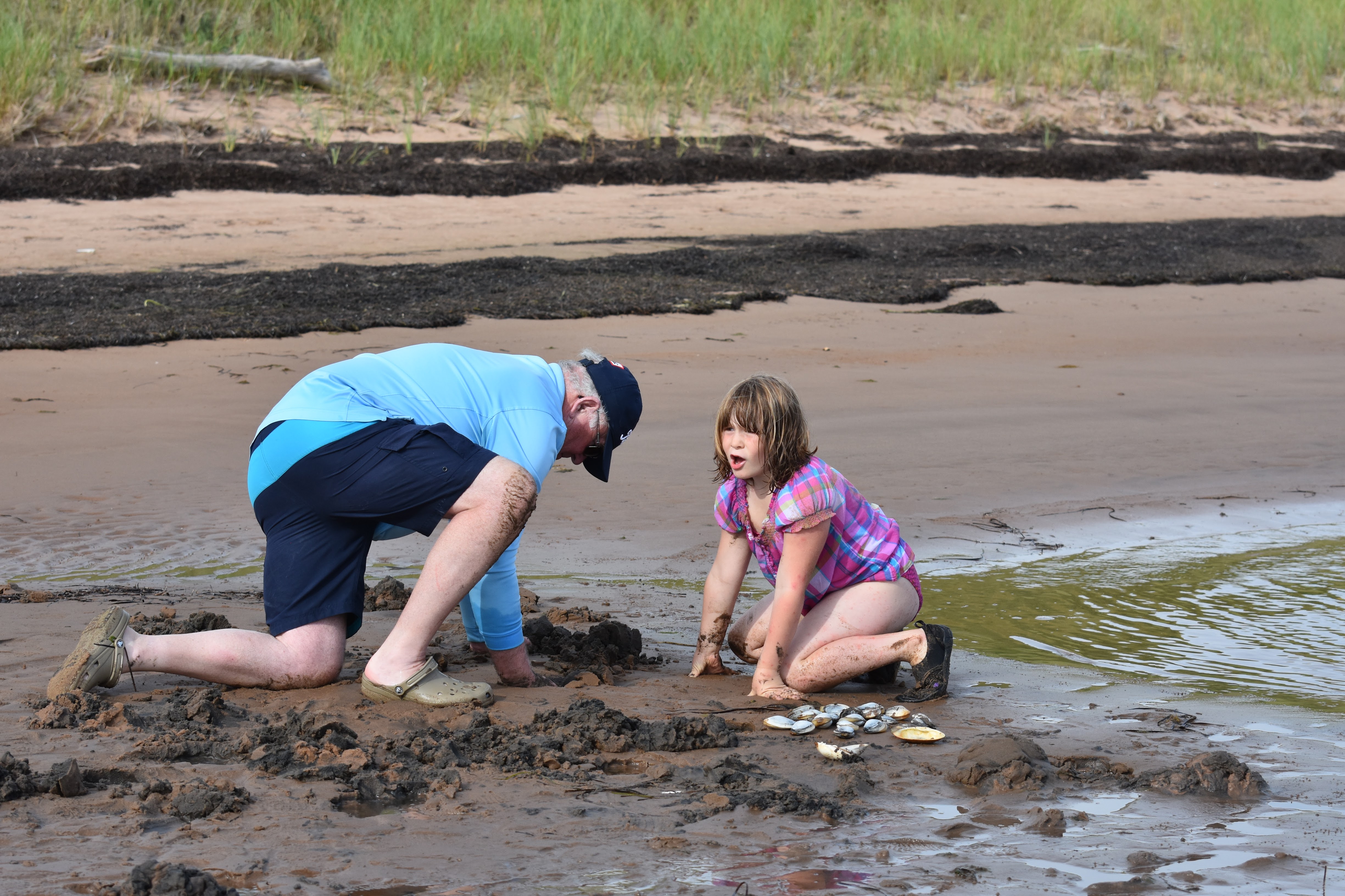 Clam digging