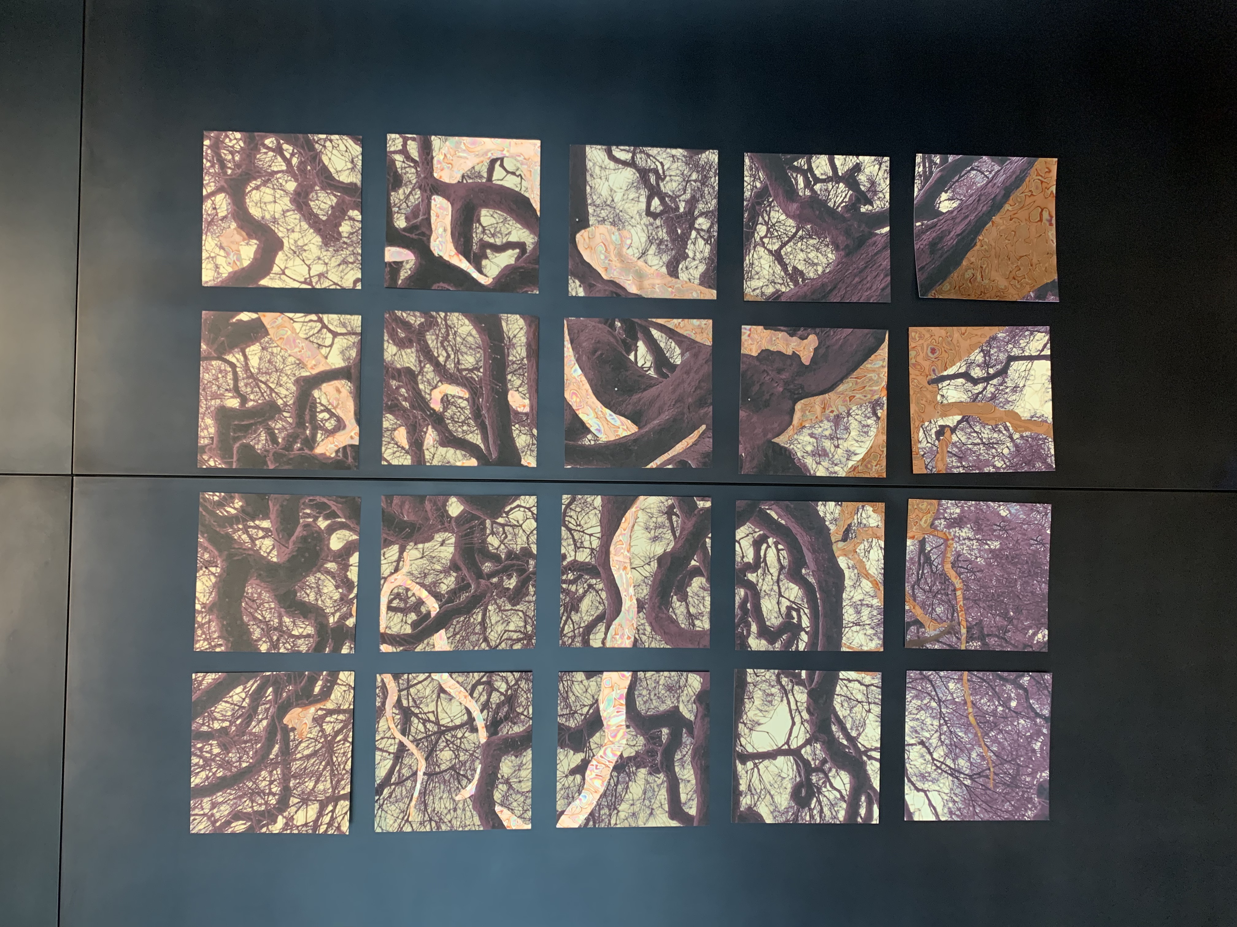TreeGrid1664