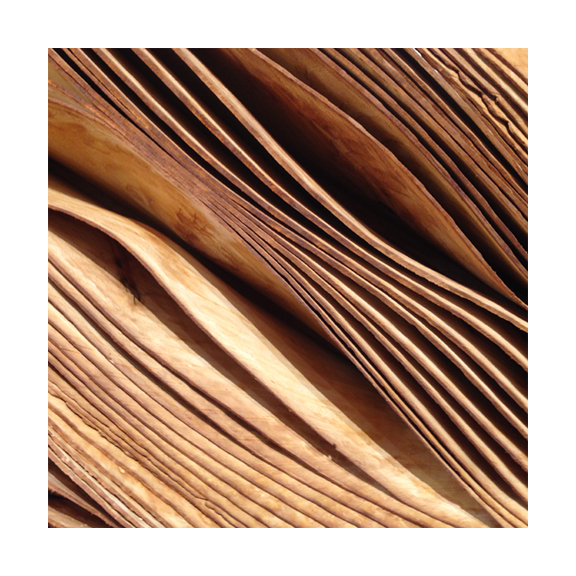 wood pages