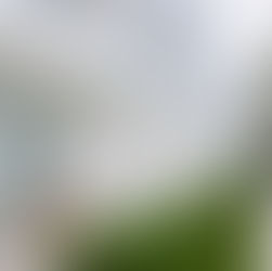 Avani Chaweng Samui Hotel & Beach Club 早上優雅，但晚上变了样......