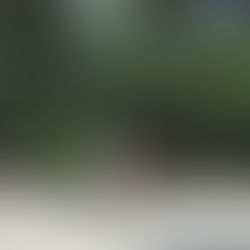 我在公园,被一大片的绿地碾压