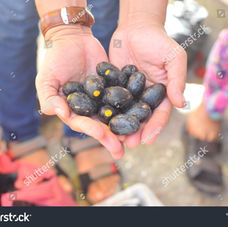 古晋美食的生态之路