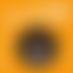 小喔熊:“嘿嘿嘿,熊熊來襲”