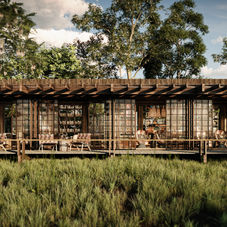 走入沙林，旅居荒野的奇幻体验