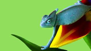 O que mexeu com o seu bolso hoje?