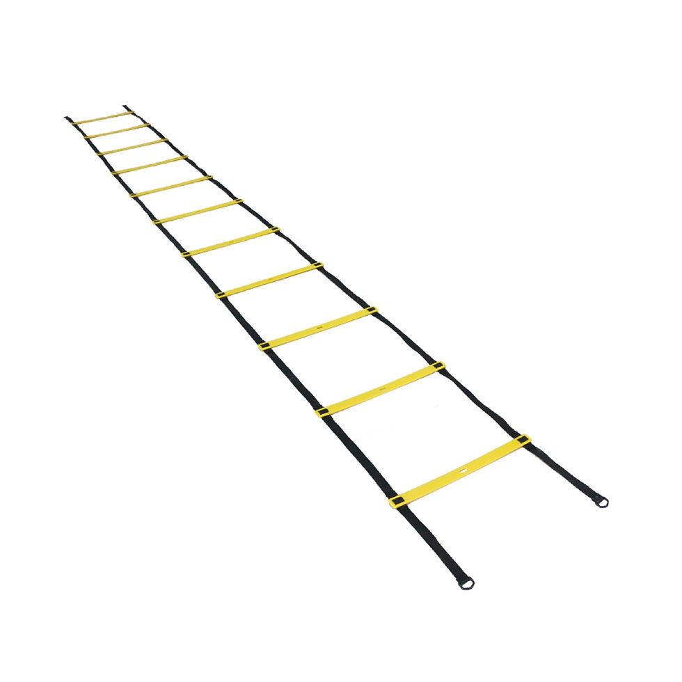 Sports training speed ladder