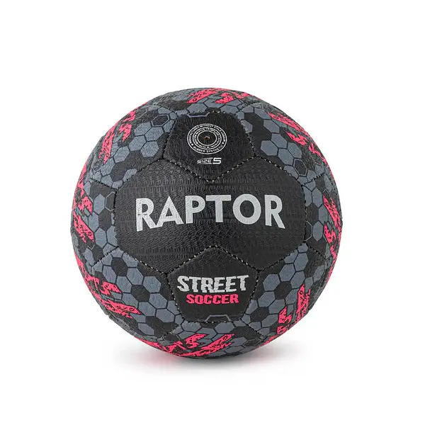 Thumbnail: Raptor Street Ball