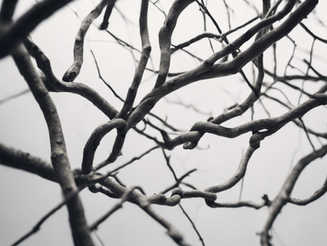 Construirea unor relații mai puternice: Consiliere de cuplu de specialitate