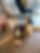Des Chiots Golden et Bouvier