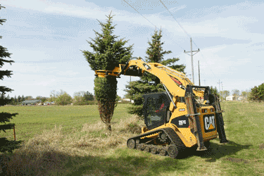 large_tree_digging.gif